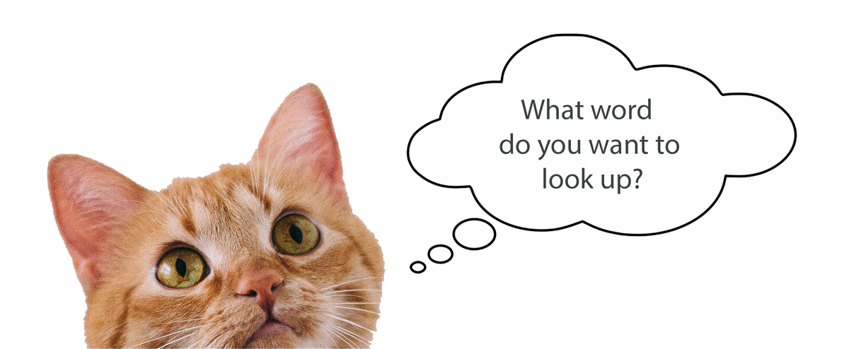 cat asks a question